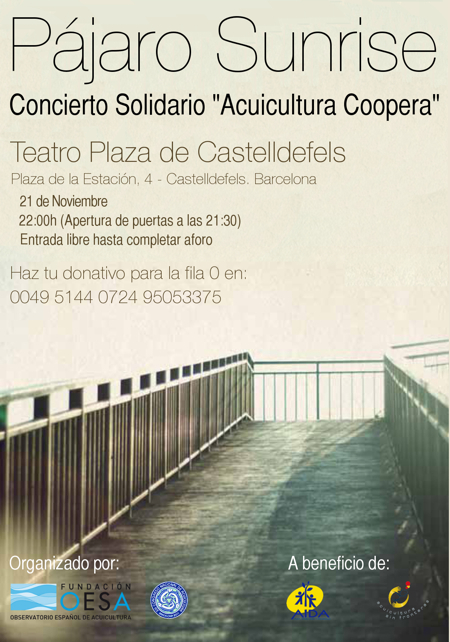 cartel_concierto_solidario_7_web