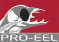 logo_pro_eel_web