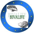 logo_bivalife_web