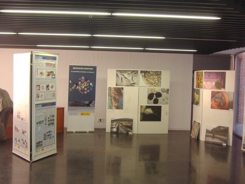 acuifoto_from2