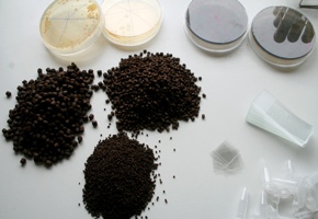 bodegon_luz_arregui_acuifoto_dr