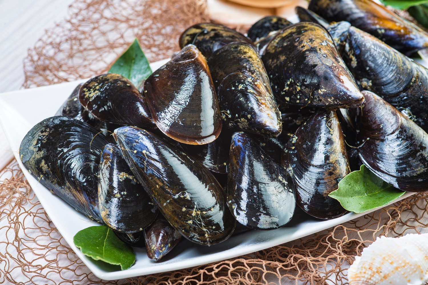 El Observatorio Europeo del Mercado de los Productos de la Pesca y de la Acuicultura (EUMOFA) analiza en su último informe las causas del descenso en el consumo de los productos pesqueros y acuícolas en la UE .